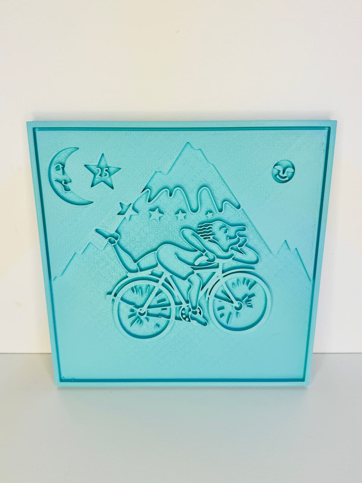 🚴♂️ Hoffman Bicycle Relief Wall Art