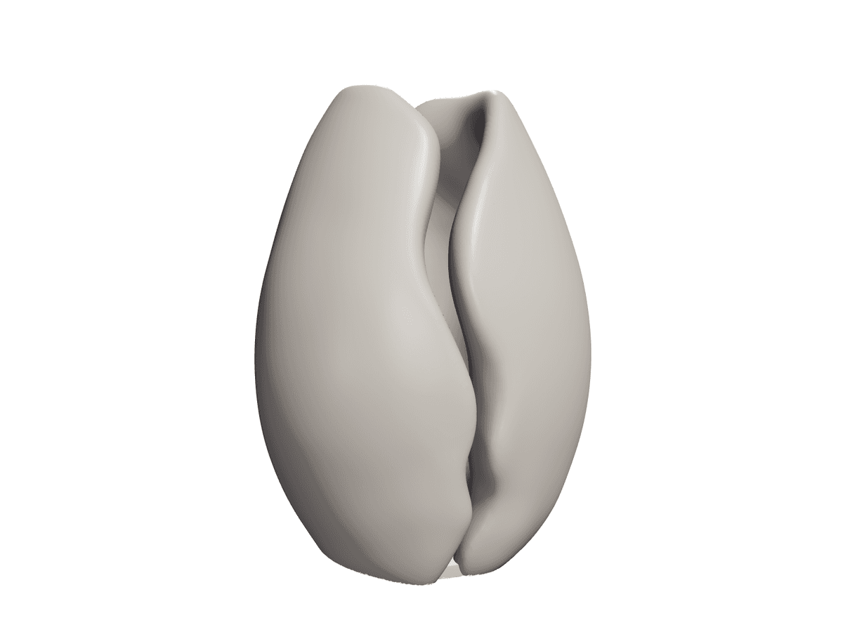 Coffee Bean Vase