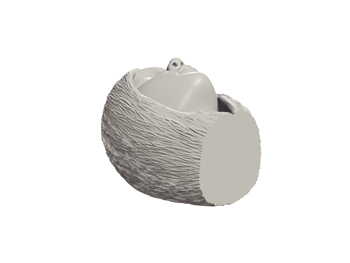 Reverie Vase