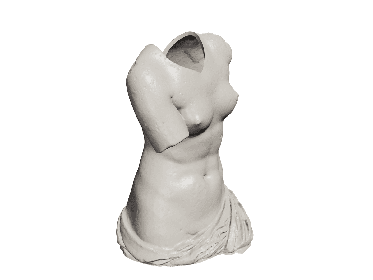 Venus De Milo Vase