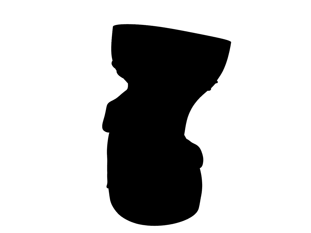 Face Vase 02