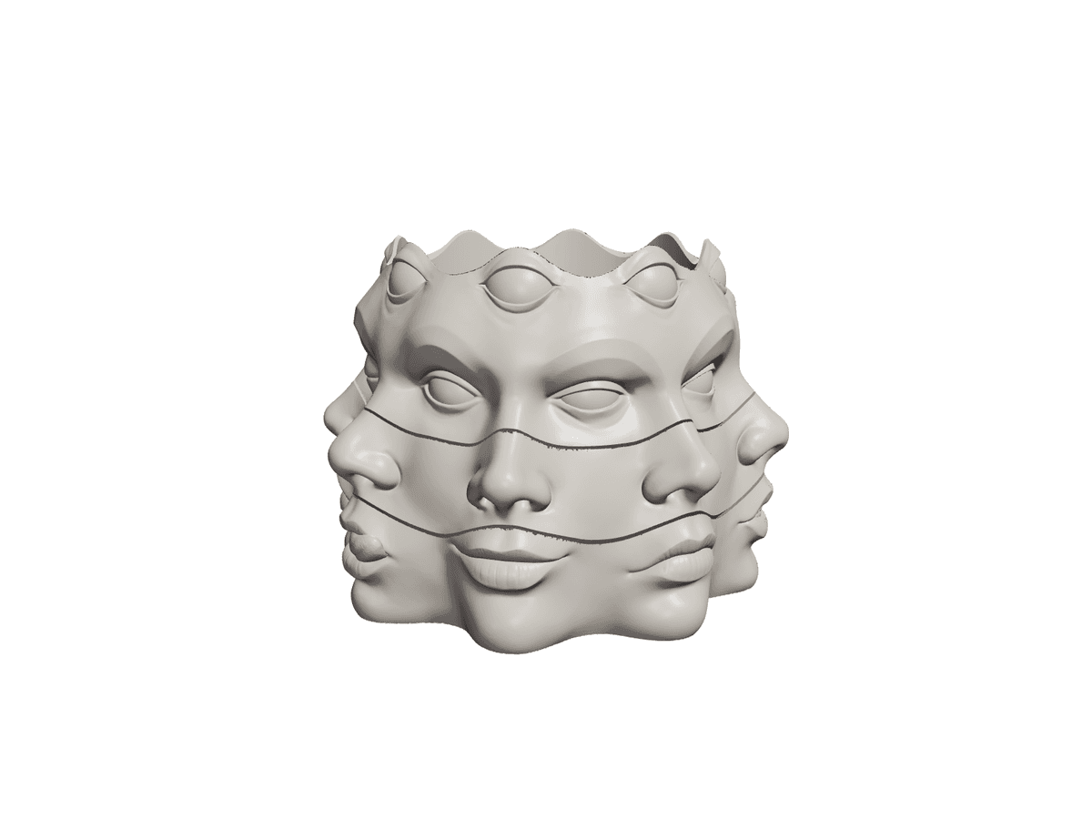 Multi Face Vase