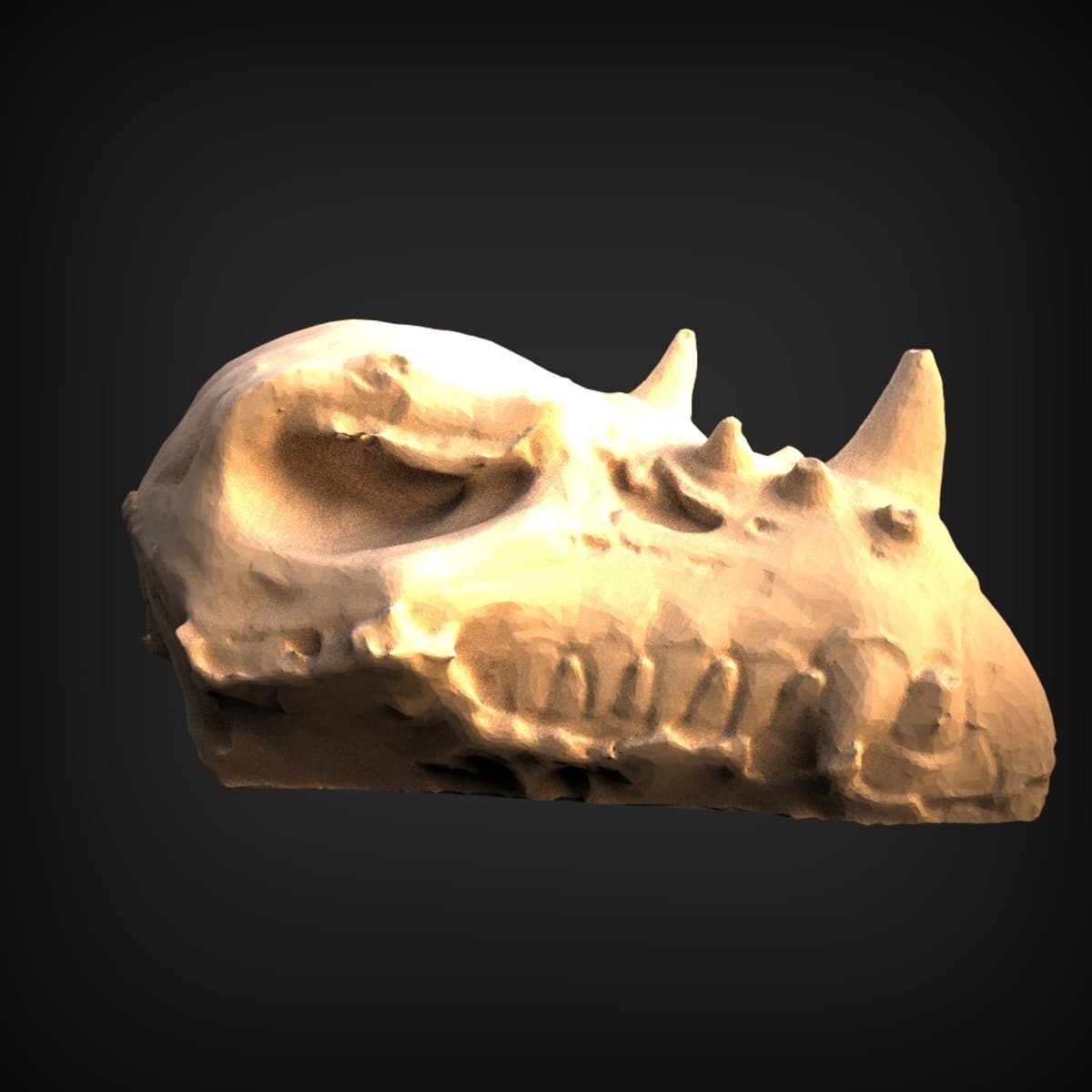 Weathered Horned Beast Skull