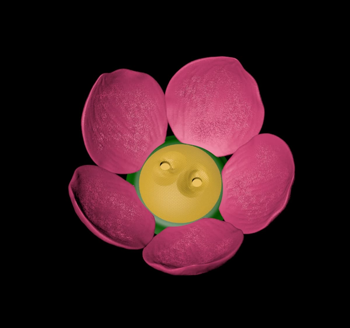 Base Flower