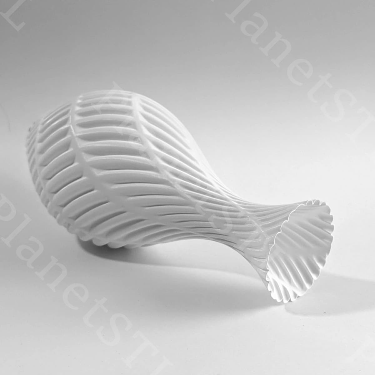 Clockspring 3 D 887 Fern Vase Planetstl