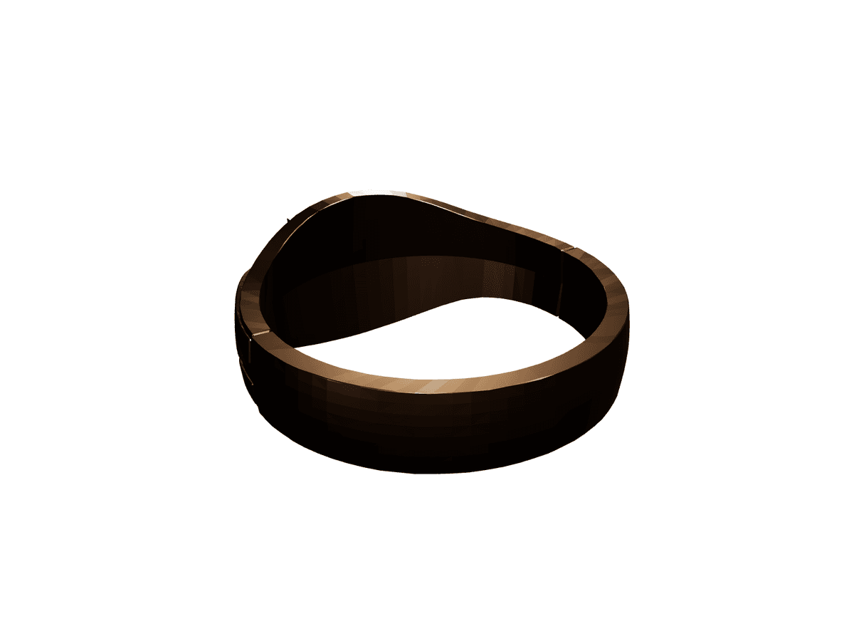Nazgul Ring 2