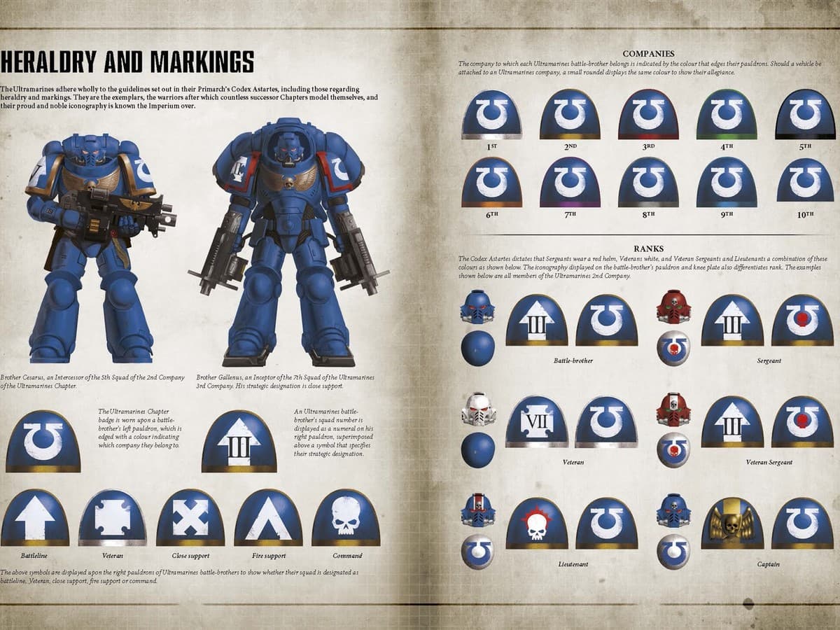 Shoulder Pad Bits Shoulder Pads