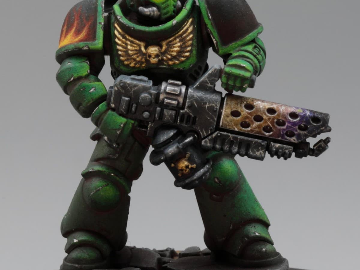 Salamanders Accessories