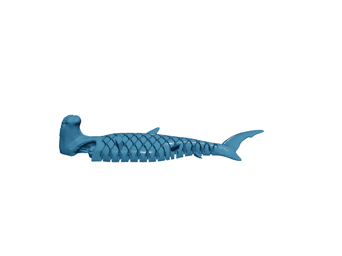 Articulated Hammer Head Shark