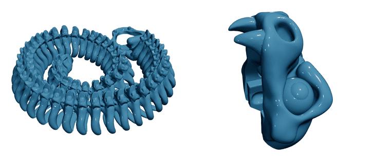 Skeleton Snake — Articulated Flexi